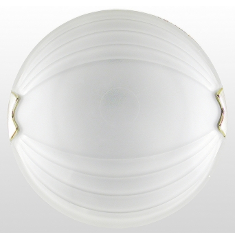 ARGUS 41121/30  DIANA přisazené svítidlo sklo - ø 30 cm